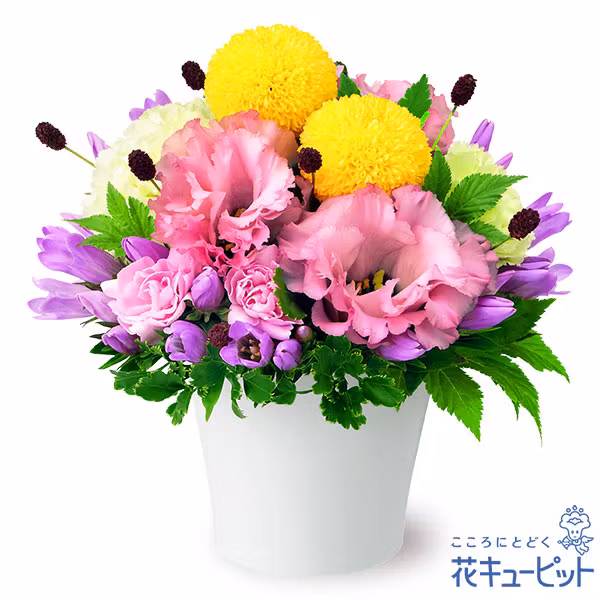 花キューピット お月見風アレンジメント 敬老の日フラワー
